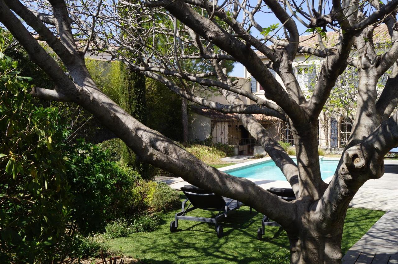 Domaine De La Girafe Bed and Breakfast Eyragues Buitenkant foto