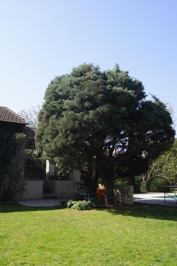Domaine De La Girafe Bed and Breakfast Eyragues Buitenkant foto